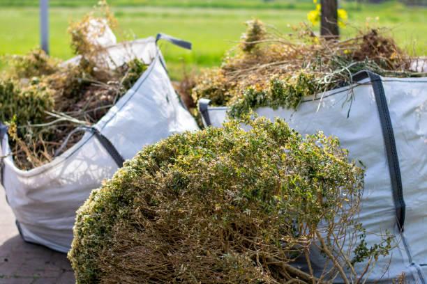 Best Hoarding Cleanup  in Menifee, CA